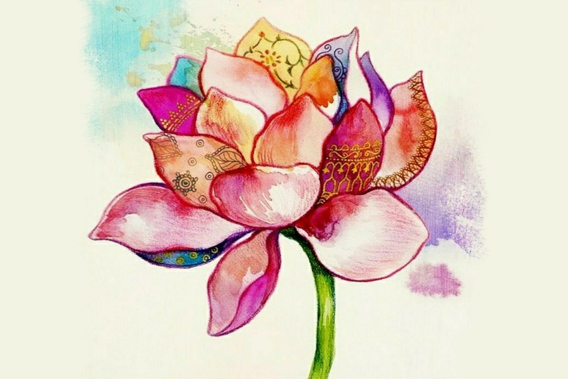 unnamed image